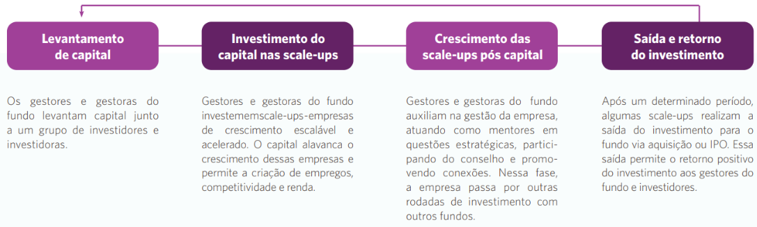 Guia Completo: Como Preparar um Pitch Vencedor para Venture Capital