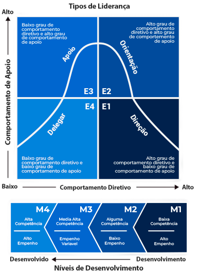 Liderança Situacional vs. Outros Modelos de Liderança: Qual o melhor para sua empresa?