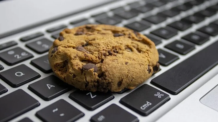 Guia Completo do Google Privacy Sandbox: O Que Você Precisa Saber