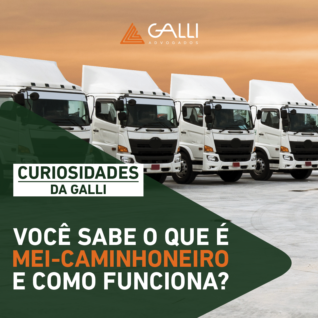 MEI Caminhoneiro vs. MEI Comum: Entenda as Diferenças Essenciais