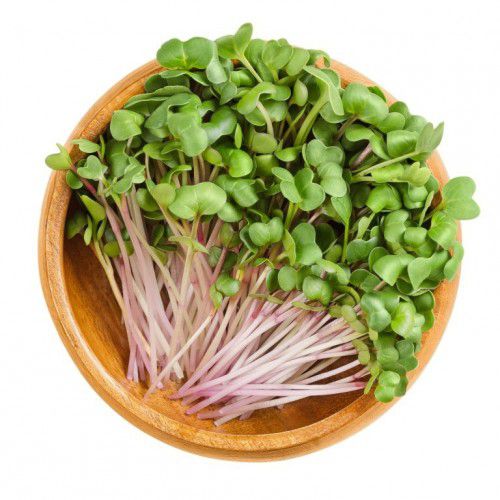 Receitas com microverdes