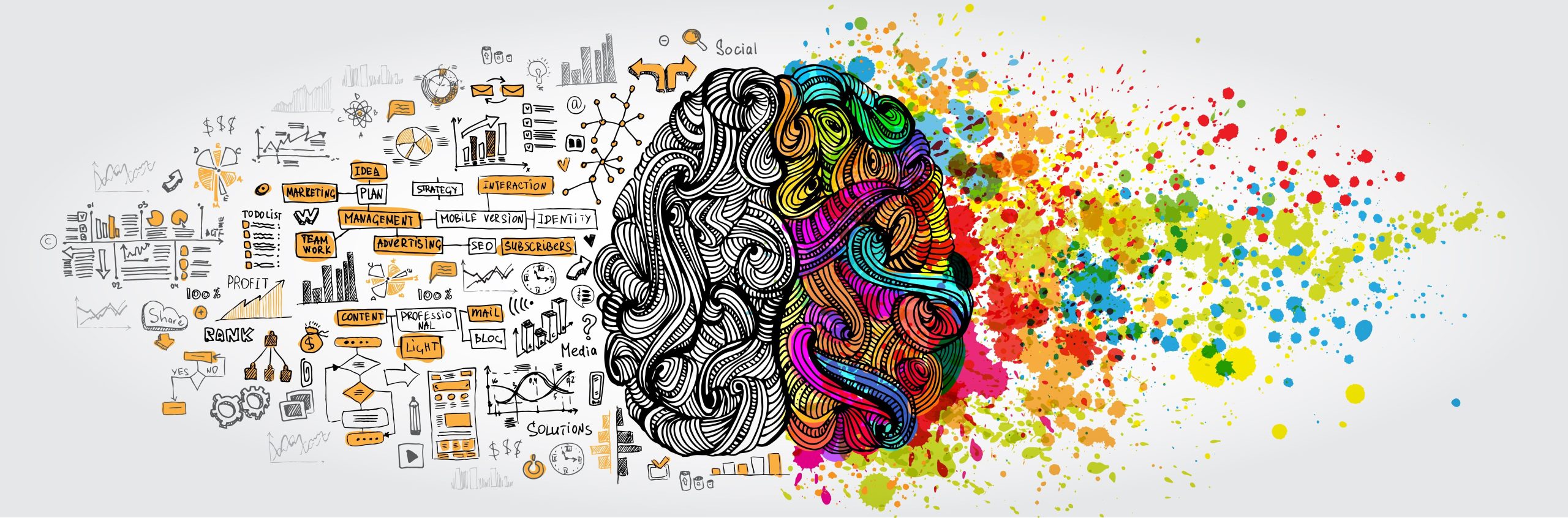 Mindset Fixo vs. Mindset de Crescimento: Qual o seu e como ele te impacta?