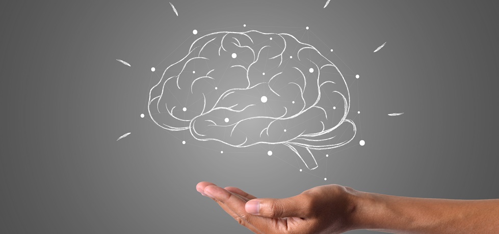 O Poder do Mindset: Como Carol Dweck Transformou a Psicologia do Sucesso