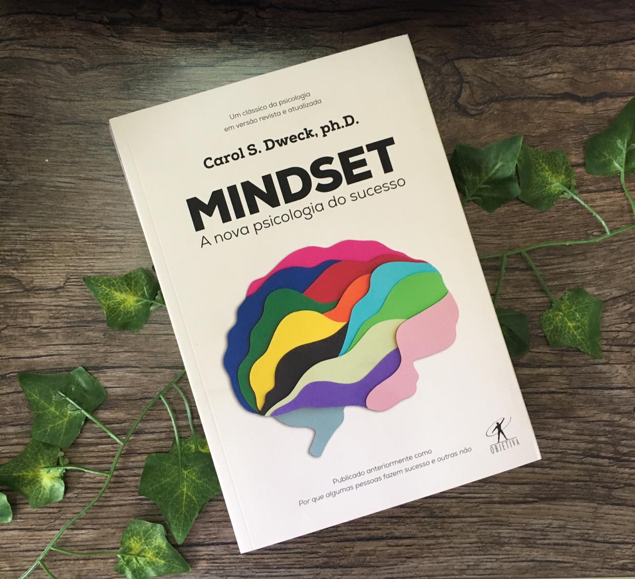 Superando Desafios: O Papel do Mindset na Resiliência e Motivação