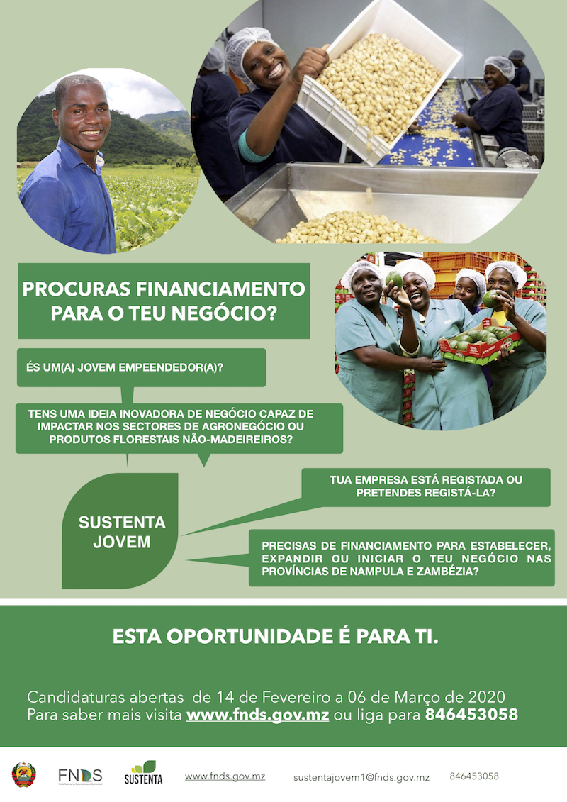 negócios para jovens