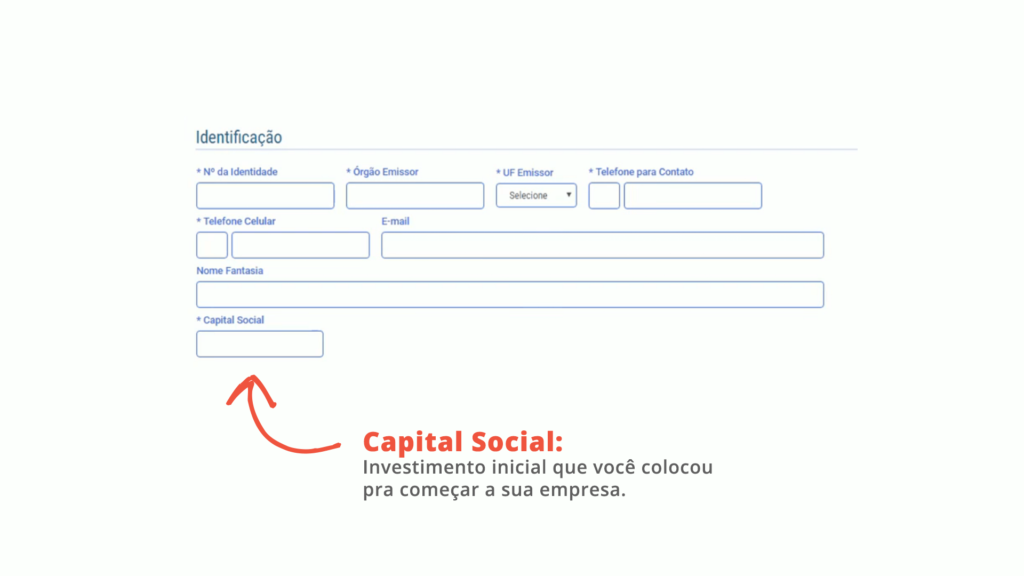 o que colocar no capital social do mei