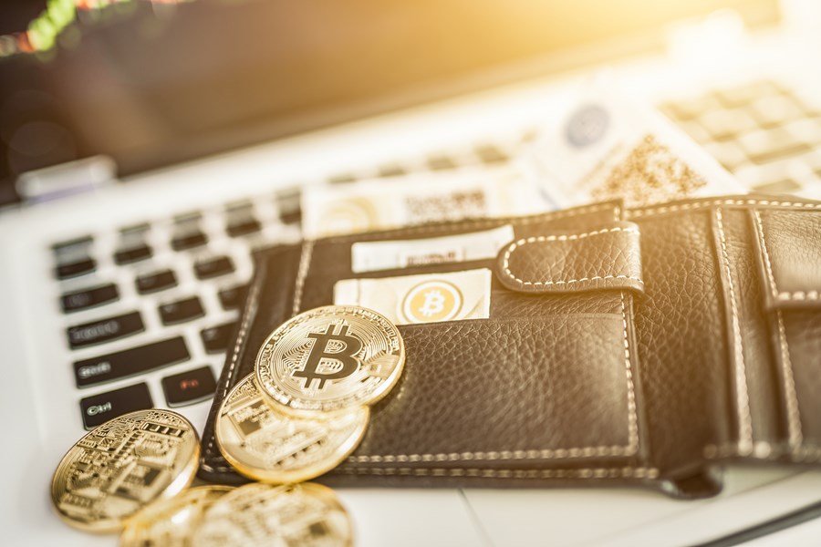 Guia Completo: Como Escolher a Melhor Carteira de Criptomoedas para Você