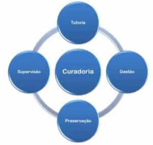 processo curatorial