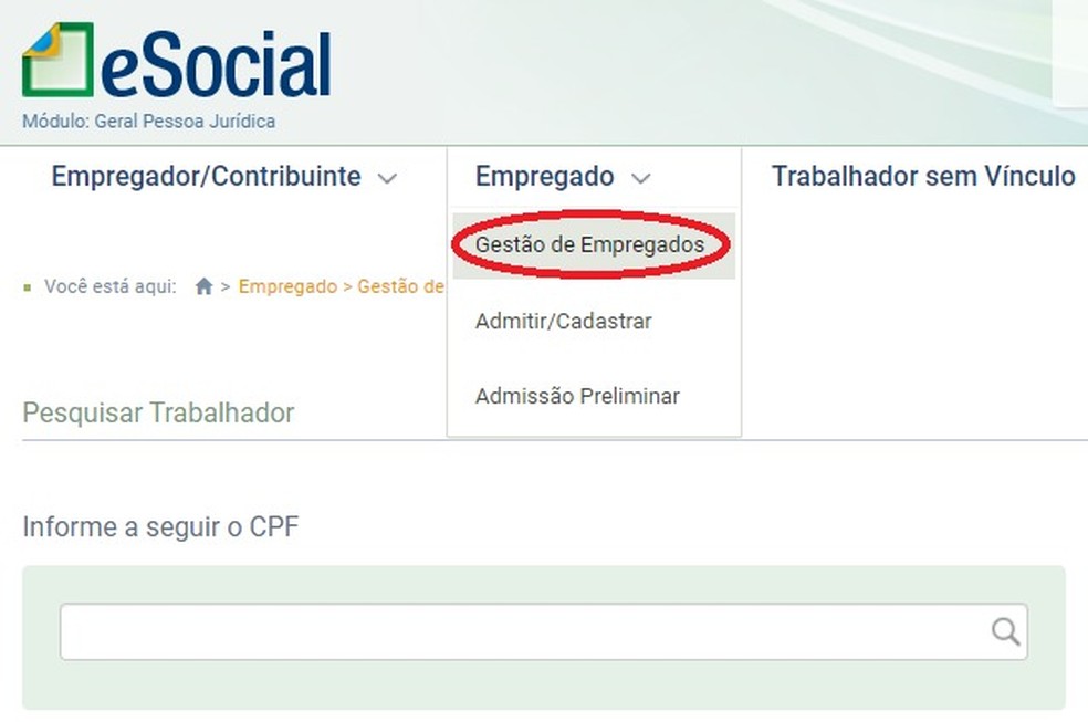 Entenda a importância do evento S-2240 (PPP) para MEI