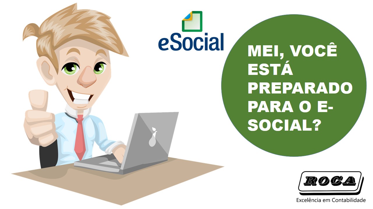 o que é e-social para mei