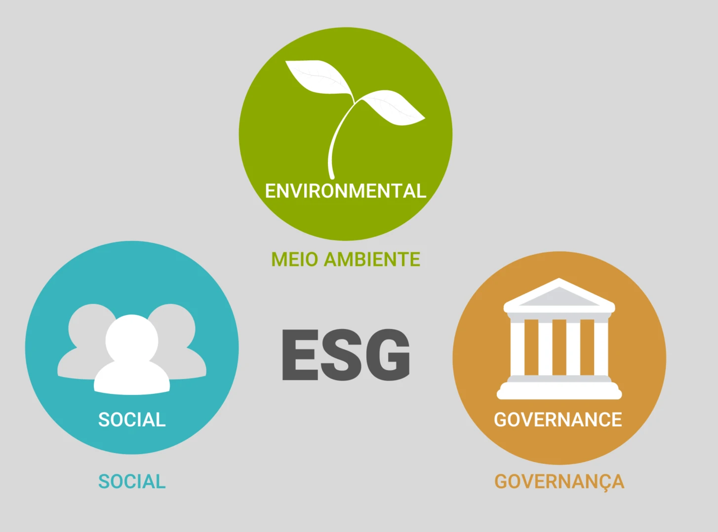 o que é esg