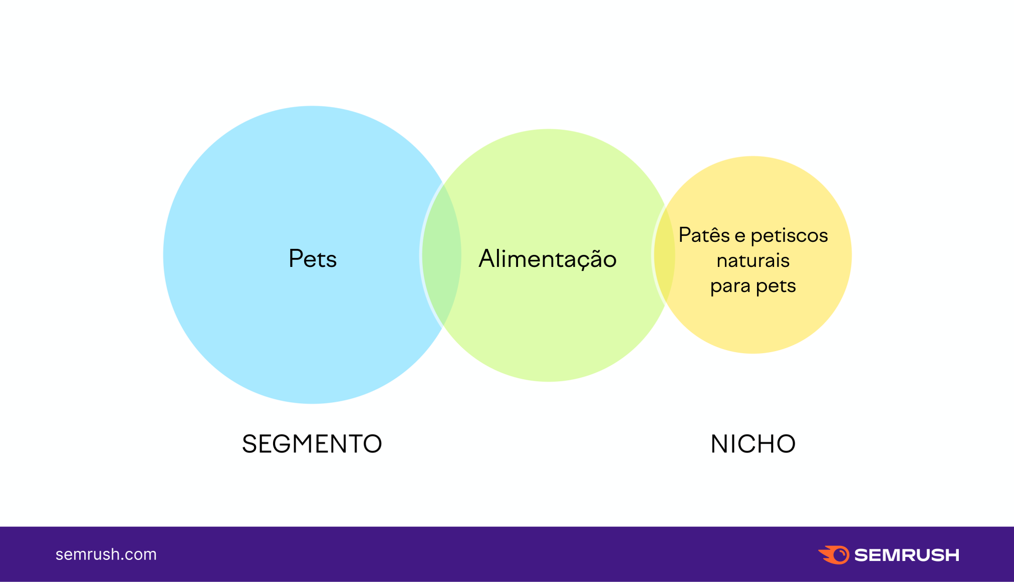 erros comuns ao definir um nicho de mercado