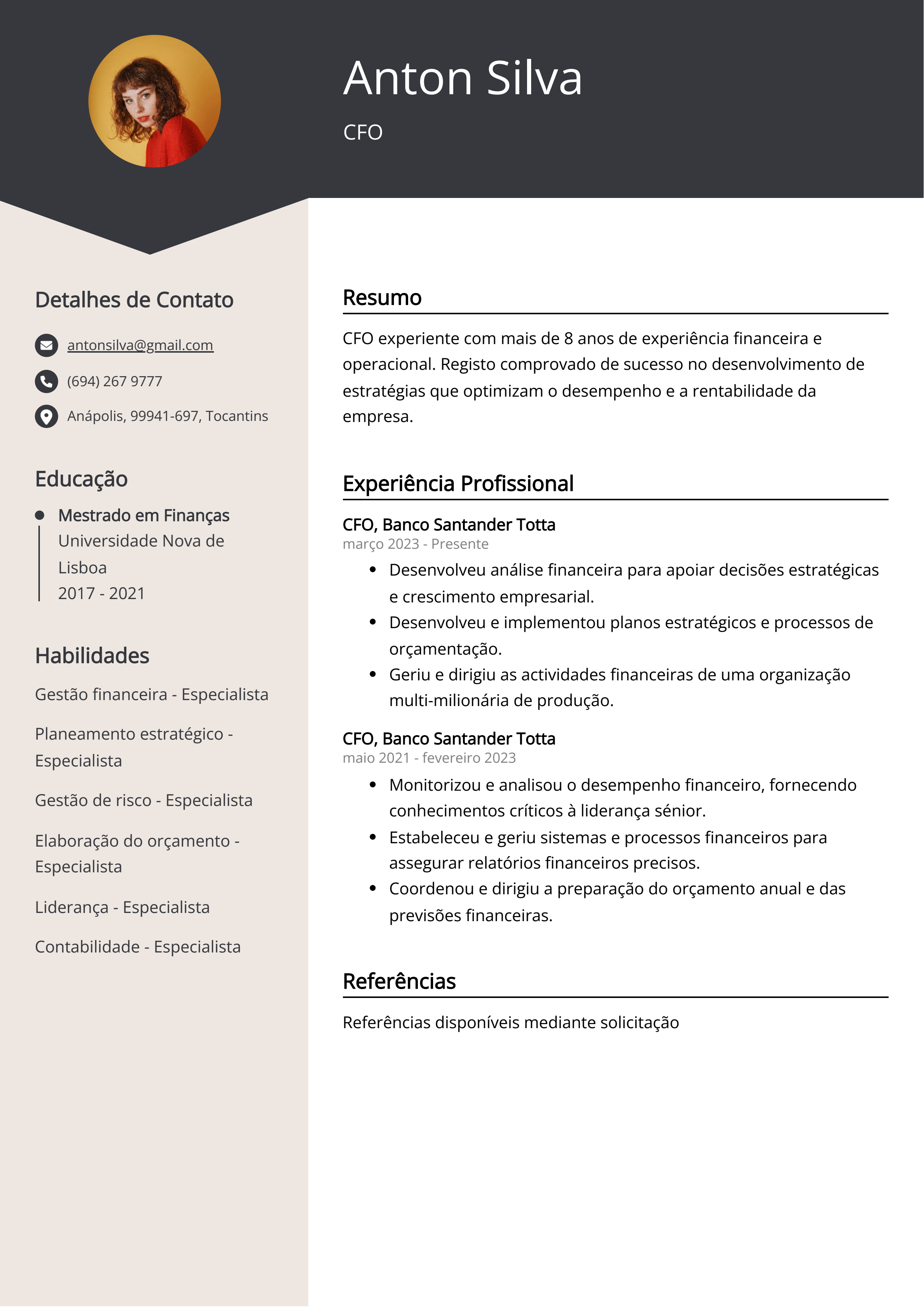 Guia Completo: Salário e Carreira de um Diretor Financeiro no Brasil