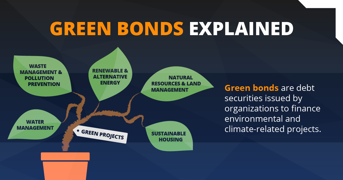 Projetos Sustentáveis: Onde o Dinheiro dos Green Bonds é Aplicado?