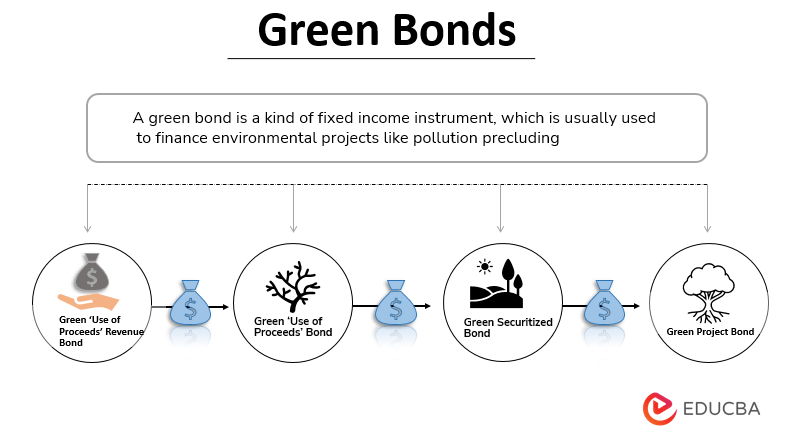 Green Bonds no Brasil: Empresas e Oportunidades de Investimento Verde