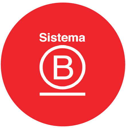 Avaliação de Impacto B (BIA): Tudo o que Você Precisa Saber
