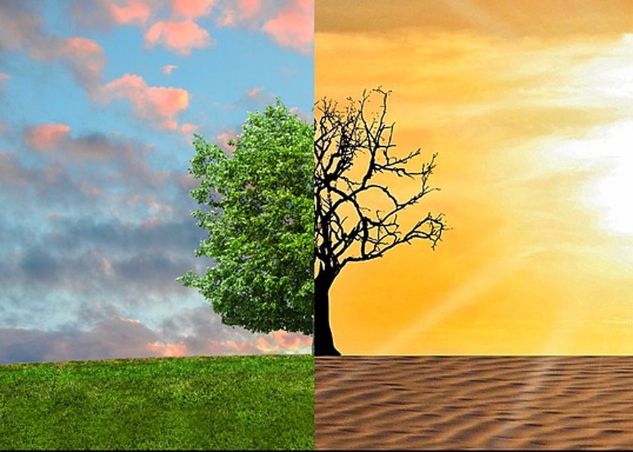 como o desmatamento causa mudanças climáticas
