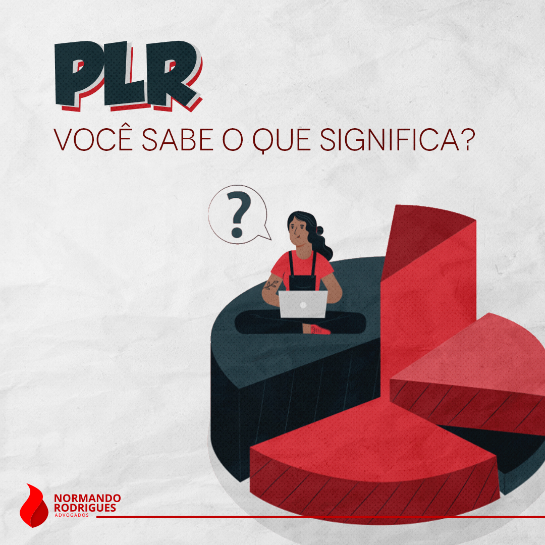 como funciona PLR empresa