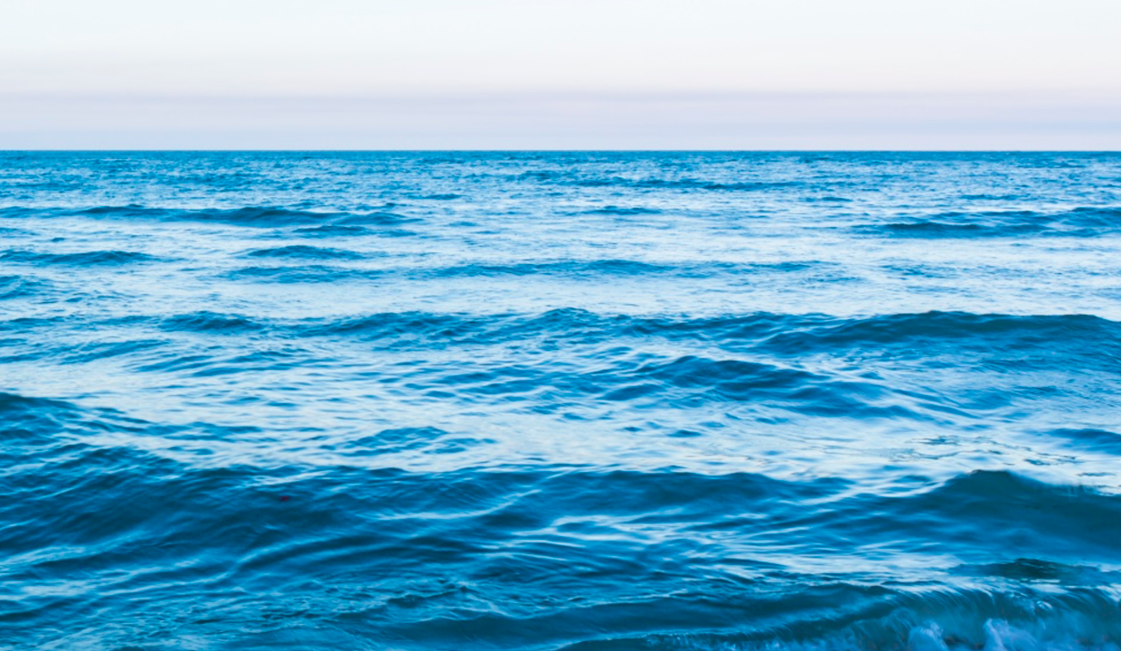 5 ideias de títulos:
1. Desvendando a Estratégia do Oceano Azul: Do Conceito à Aplicação Prática
2. Oceano Azul vs. Oceano Vermelho: Como Escolher o Melhor Caminho para o Seu Negócio
3. A Ciência por Trás do Azul do Mar: Entenda a Física da Cor Oceânica
4. Exemplos de Sucesso da Estratégia Oceano Azul: Cirque du Soleil e Netflix
5. Além da Estratégia: Outros Significados Fascinantes do Termo