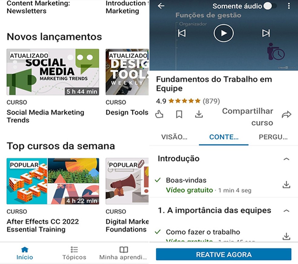 educação a distância gratuita Brasil