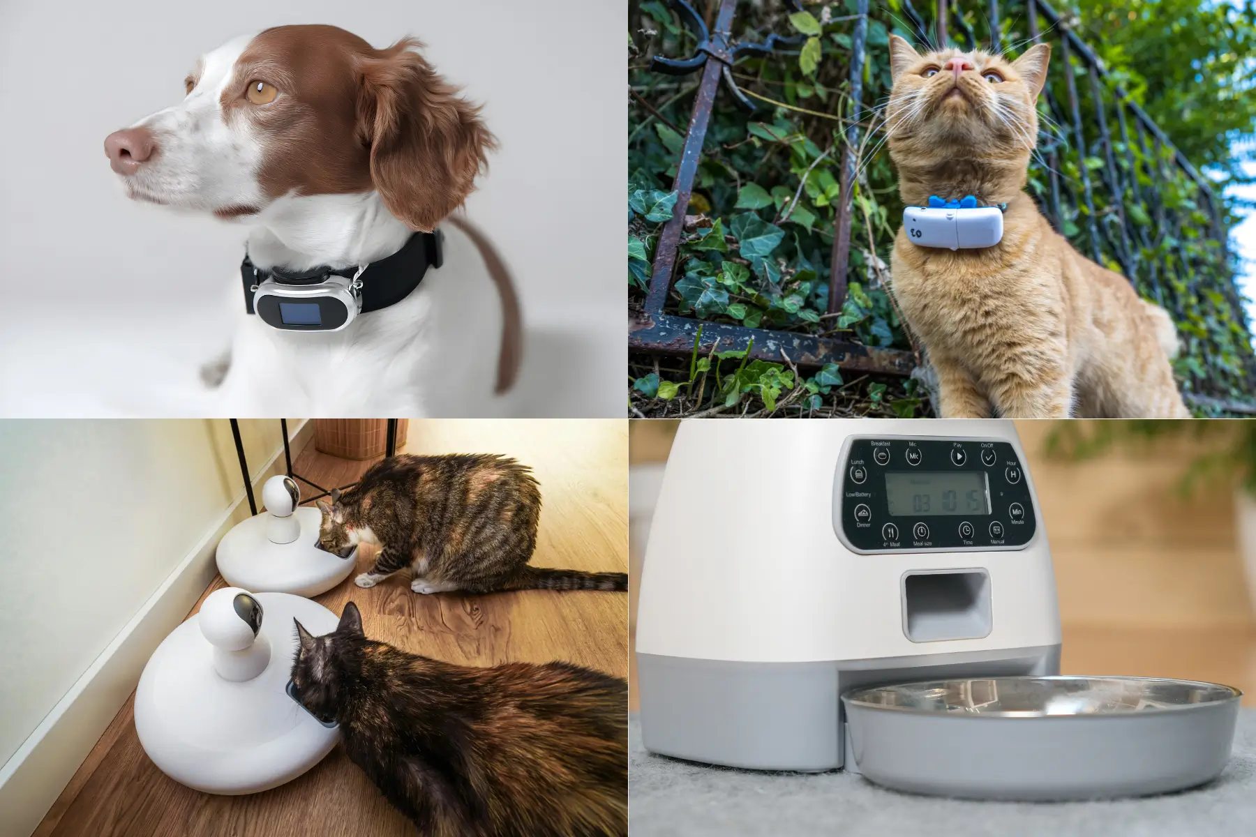 pet tech