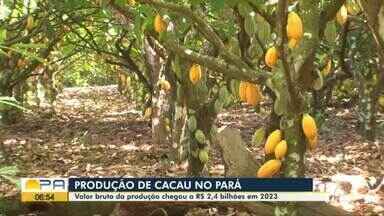 Tendência de queda global e nacional em 2026