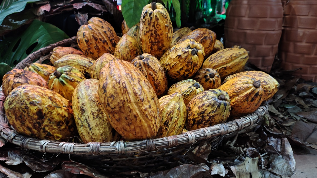 Comparativo histórico: Preços variaram de R$ 1,50 a R$ 60/kg nos últimos 40 anos