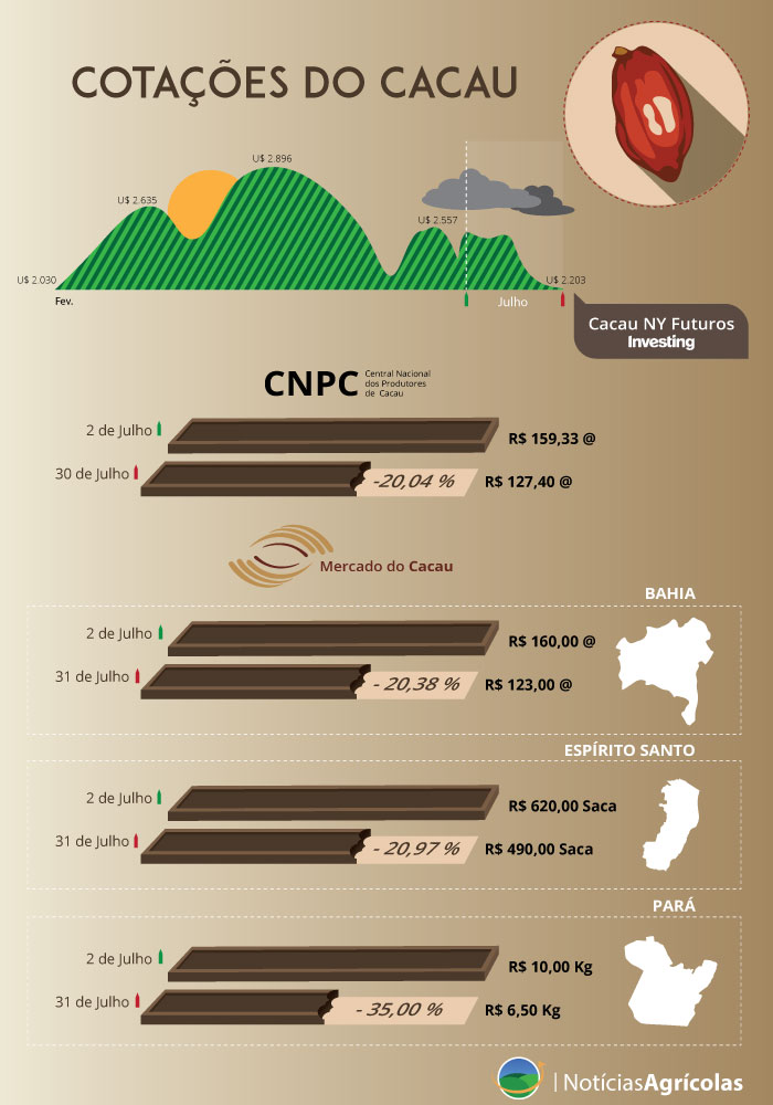 cotação cacau pará 2026