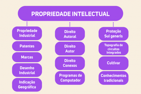 A Importância da OMPI para a Propriedade Intelectual Global