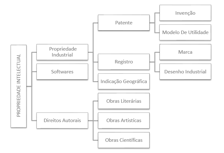 Proteção Sui Generis: Um Olhar sobre Cultivares e Circuitos Integrados