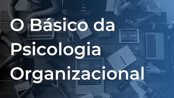 Como a Psicologia Organizacional Pode Reduzir Custos e Aumentar a Produtividade da Sua Empresa