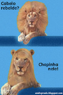 Comparativo: As Primeiras Chapinhas vs. Modelos Atuais