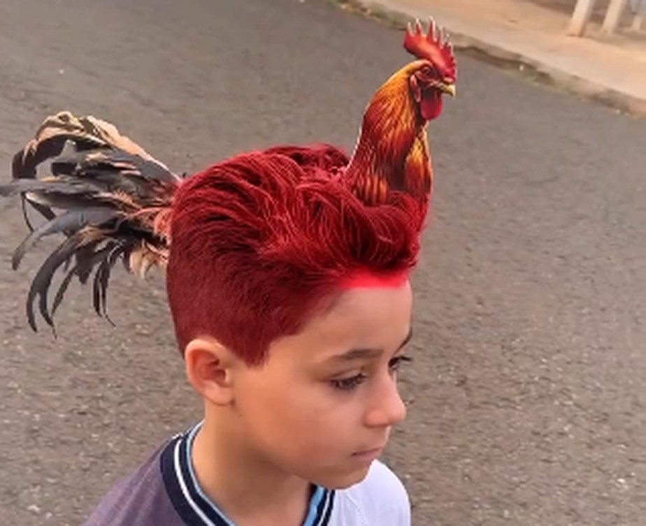 Dia do Cabelo Maluco origem
