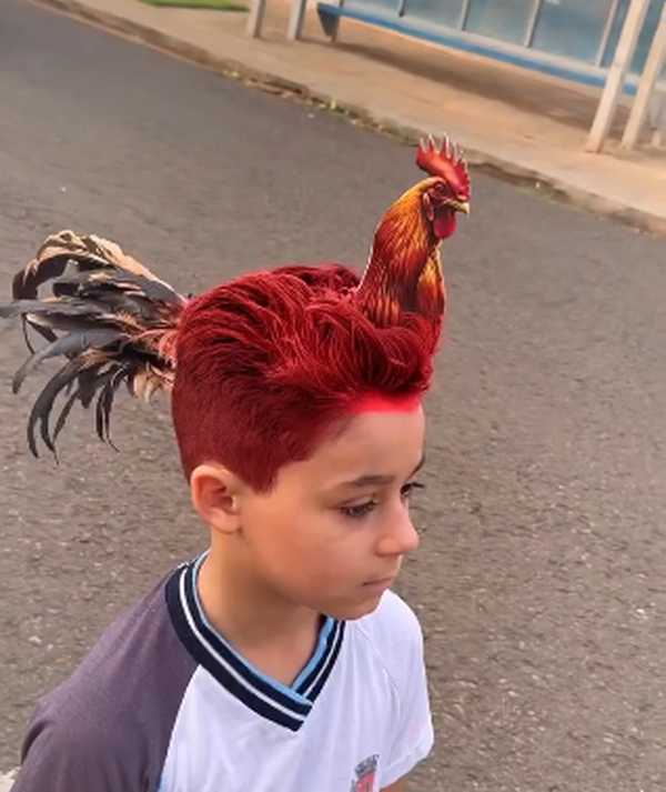 10 Ideias Criativas de Penteados para o Dia do Cabelo Maluco