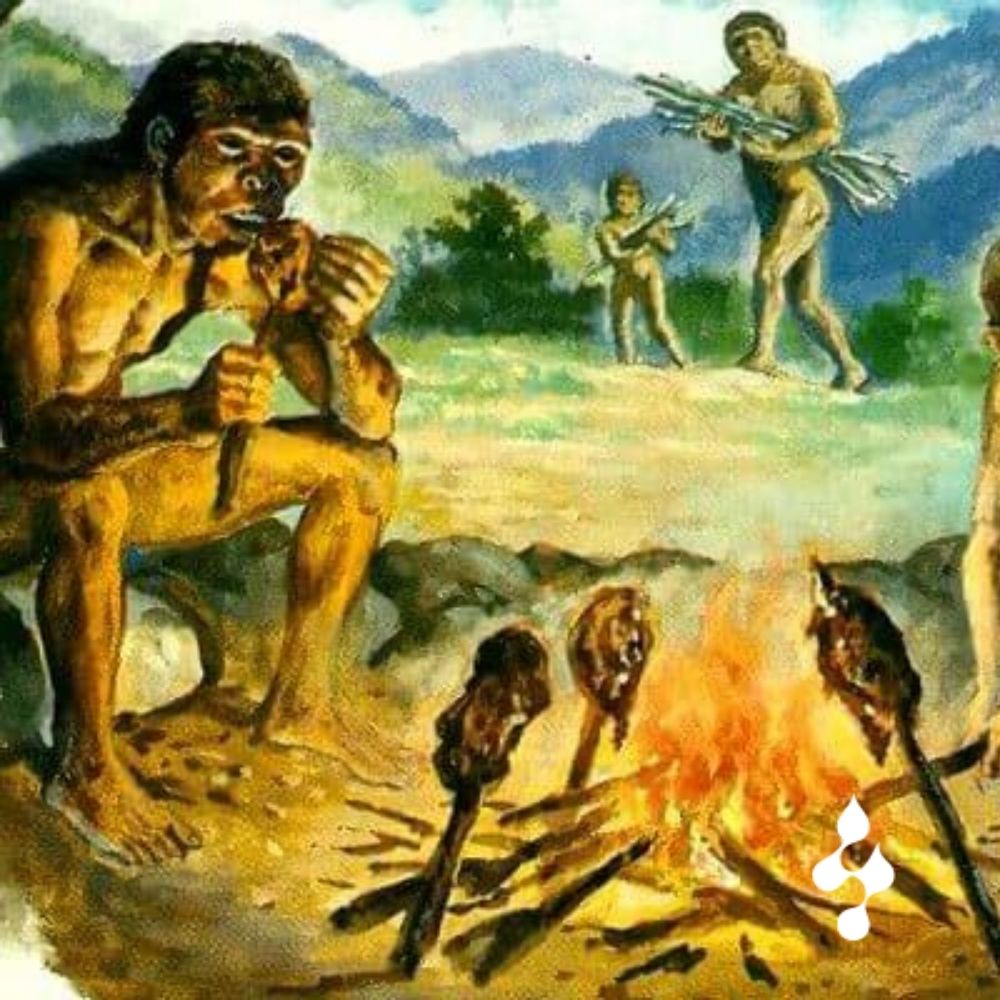 Homo Erectus e o Controle do Fogo: O Início de Uma Era