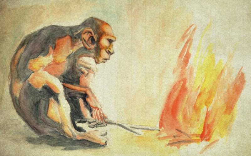 Homo Erectus e o Controle do Fogo: O Início de Uma Era