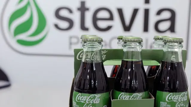 Quem Foi Moisés Santiago Bertoni e Sua Contribuição para a Stevia?