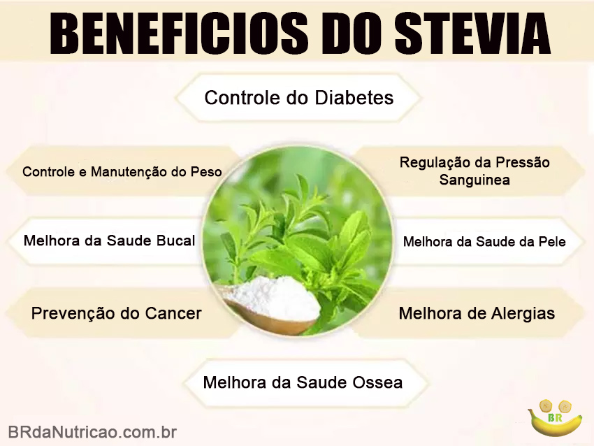 Os Povos Guaranis e o Uso Ancestral da Erva Doce (Ka'a He'ẽ)