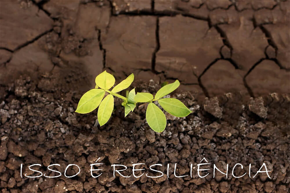 Meditação e Resiliência: Guia Prático para o Bem-Estar