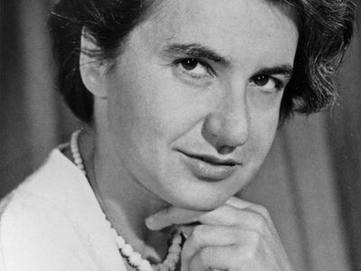 A Controvérsia do Nobel: Por Que Rosalind Franklin Não Recebeu o Prêmio?