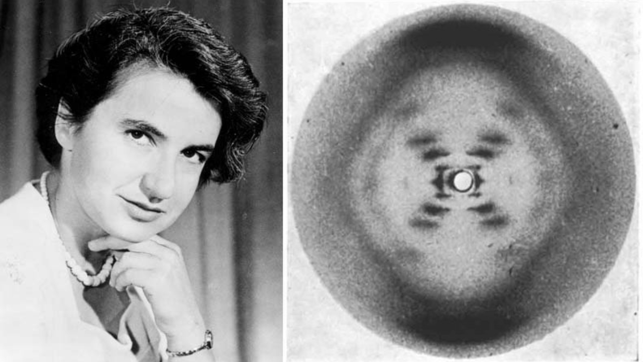 rosalind franklin