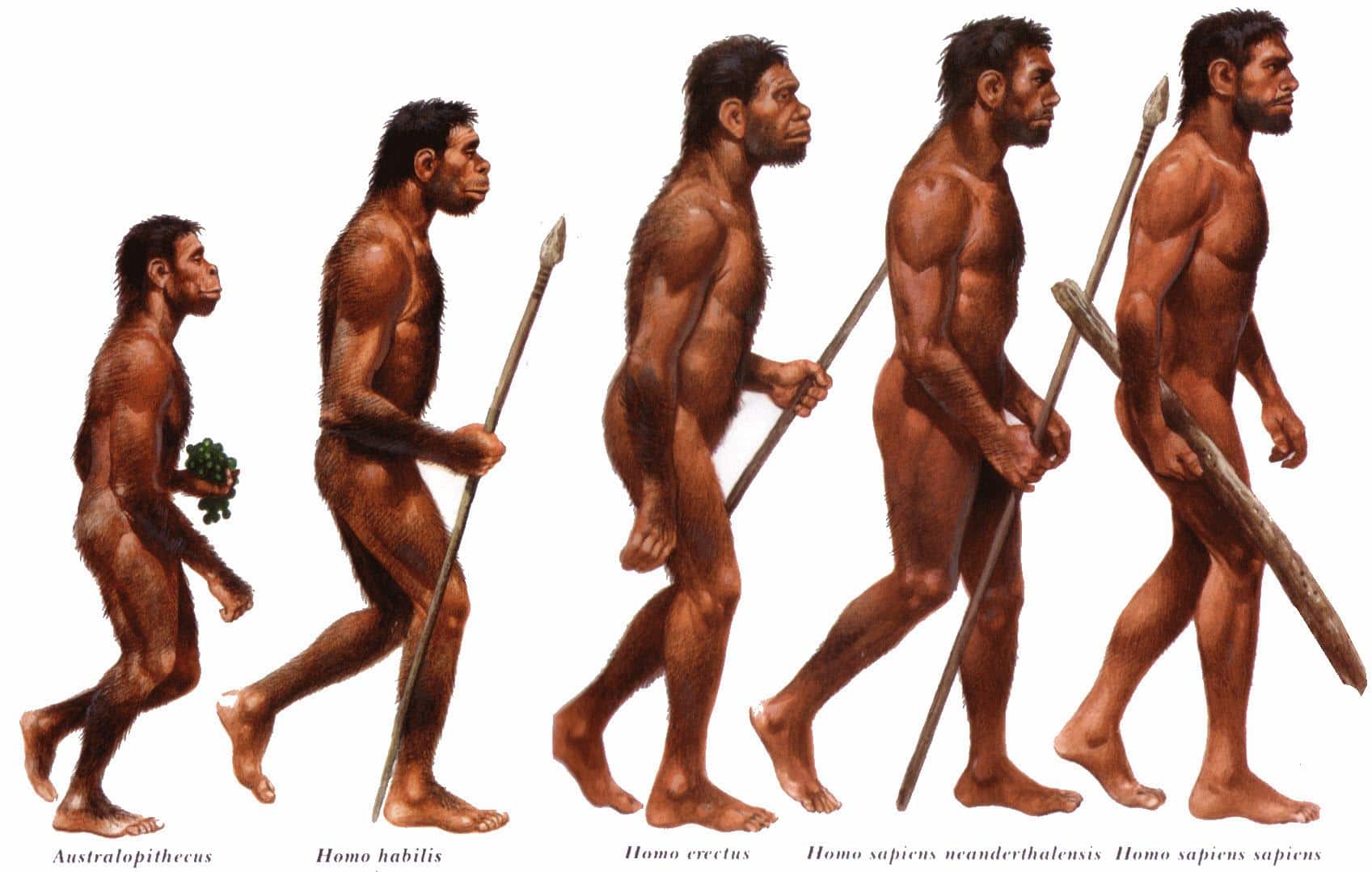 As 4 Revoluções que Moldaram o Homo Sapiens Segundo Harari