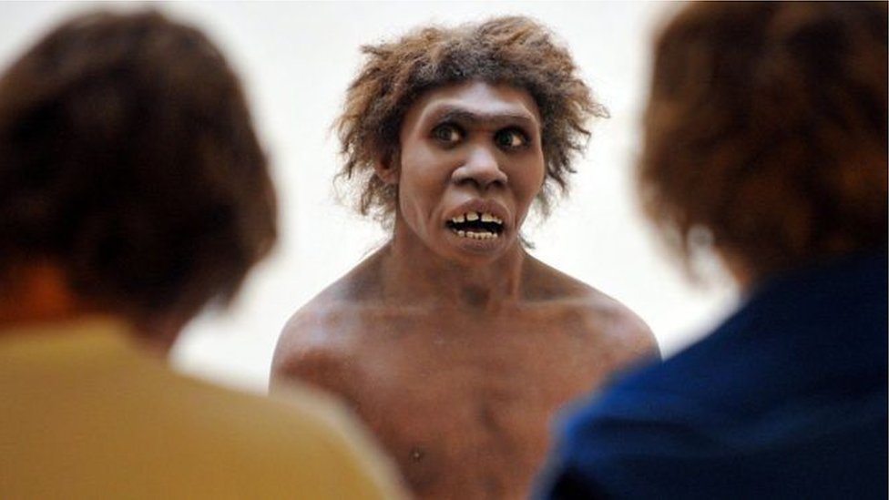 Homo Sapiens: A Jornada Biológica da Espécie Humana