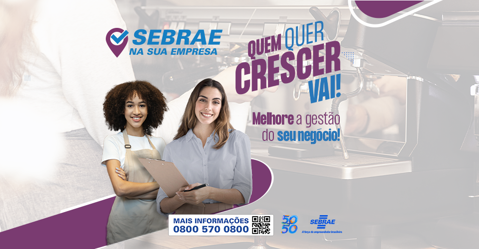 sebrae para micro e pequenas empresas