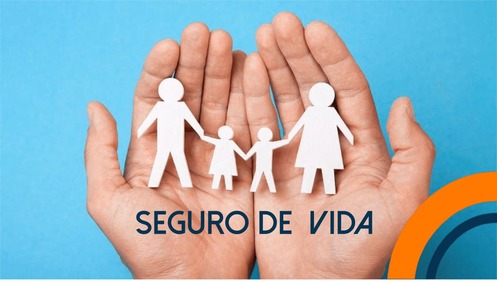 Comparativo: As Melhores Seguradoras de Vida no Brasil (Itaú, Porto, Icatu e mais)