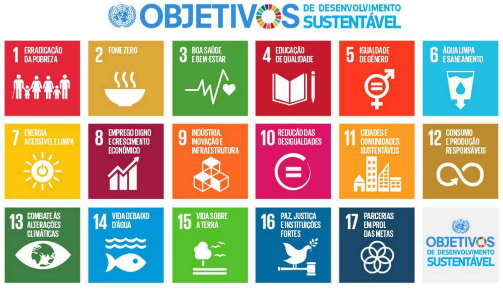 sustentabilidade financeira ONGs SP