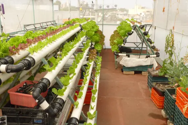 Tecnologia para hortas urbanas e cultivo interno