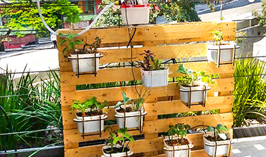 erros comuns no cultivo indoor com tecnologia