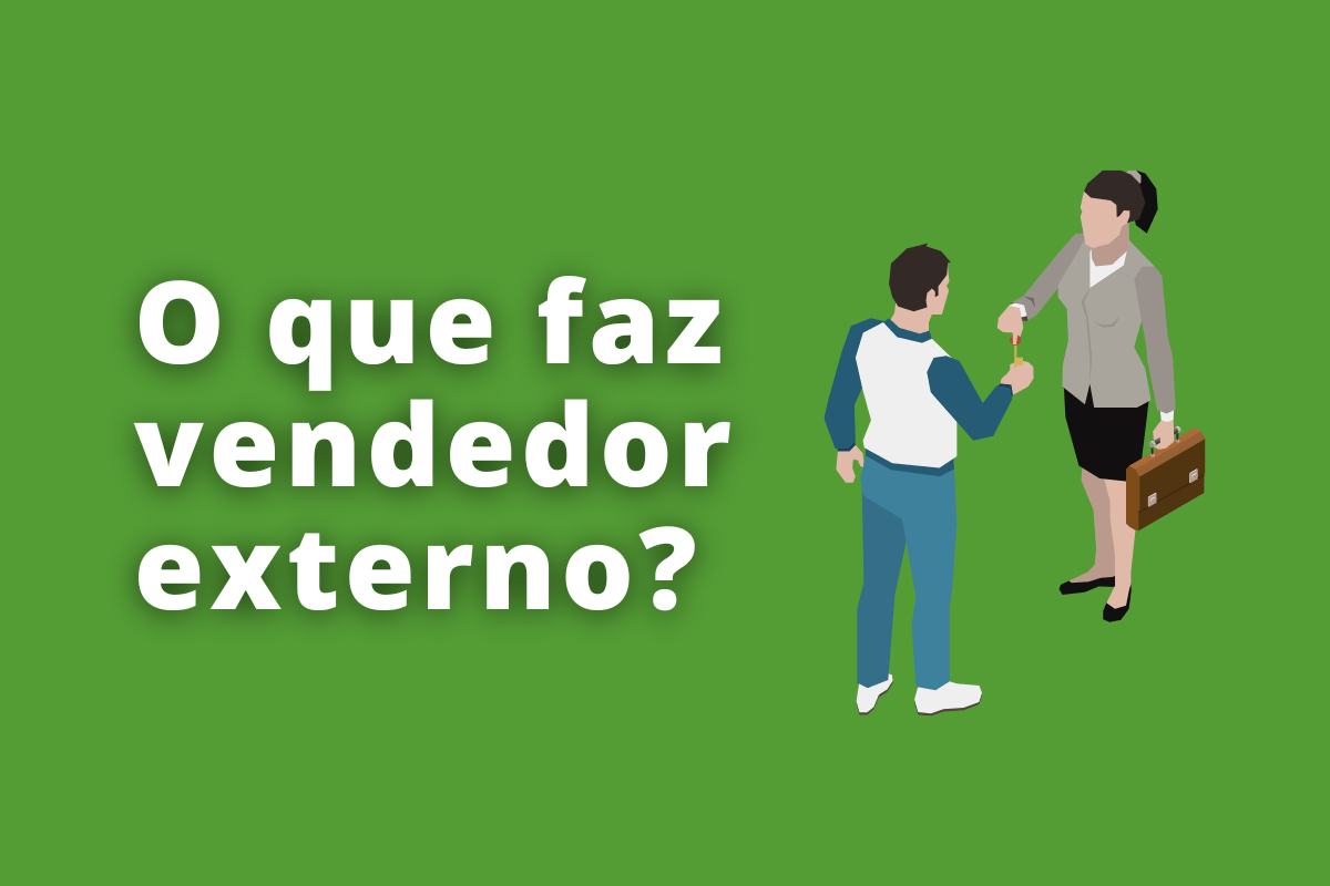 dia a dia vendedor externo