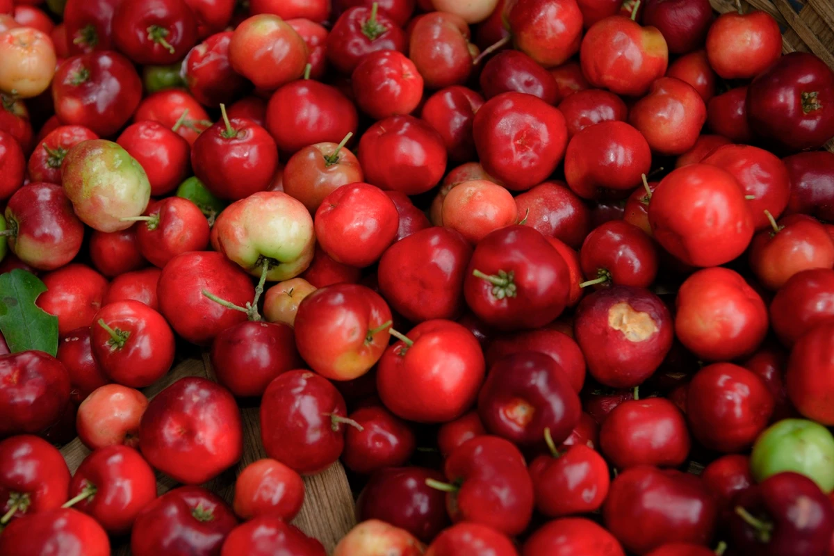 acerola e imunidade